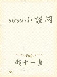 soso小说网