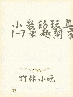 小米的玩具日记1-7笔趣阁有声