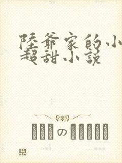 陆爷家的小可爱超甜小说