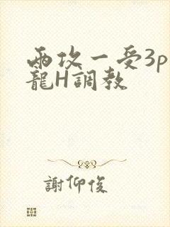 两攻一受3p双龙H调教