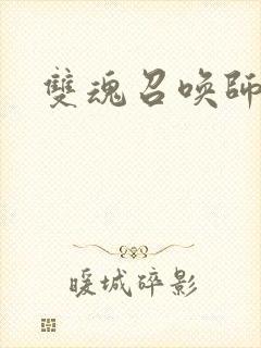 双魂召唤师
