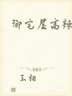 御宅屋高辣文