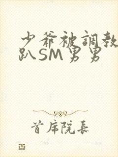 少爷被调教室跪趴SM男男