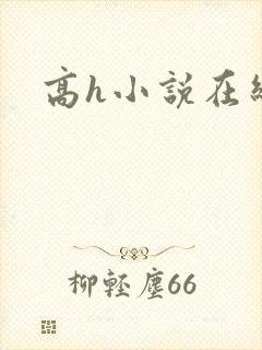 高h小说在线看