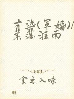 有染(军婚)/叶落淮南封面