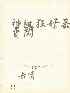 神级狂婿岳风免费阅封面