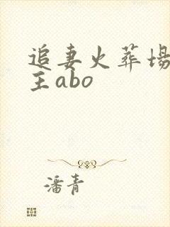 追妻火葬场双男主abo