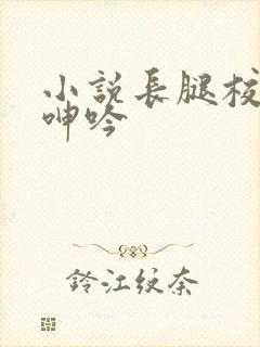 小说长腿校花的呻吟