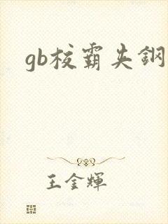gb校霸夹钢笔封面