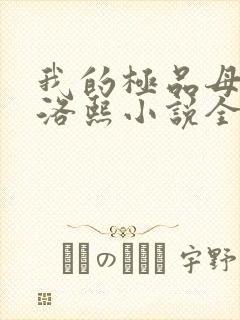 我的极品母亲林洛熙小说全文阅读封面