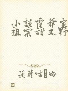 小说霍爷家的小祖宗甜又野