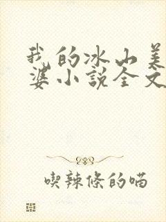 我的冰山美女老婆小说全文阅读