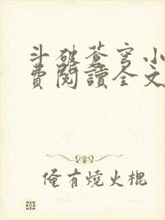 斗破苍穹小说免费阅读全文无弹窗