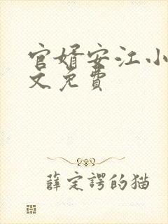 官婿安江小说全文免费