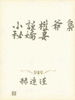 小说权爷枭宠神秘娇妻