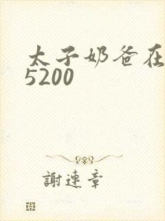 太子奶爸在花都5200封面