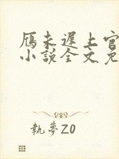 雁未迟上官穿越小说全文免费阅读