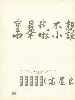 宝贝我不想带小雨伞啦小说