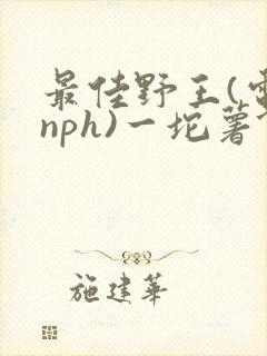 最佳野王(电竞nph)一坨薯饼封面