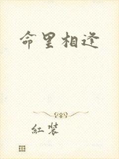 命里相逢