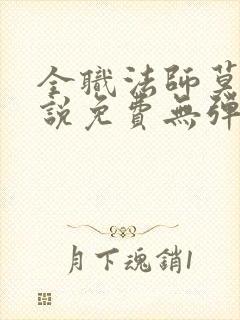 全职法师莫凡小说免费无弹窗封面