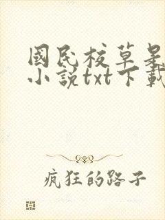 国民校草是女生小说txt下载