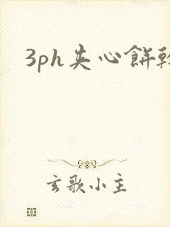 3ph夹心饼干