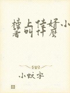 榜上佳婿小说原著叫什么封面
