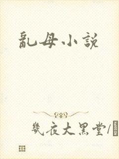 乱母小说封面