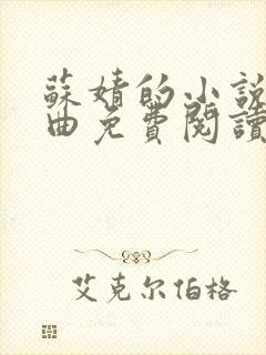 苏婧的小说三部曲免费阅读
