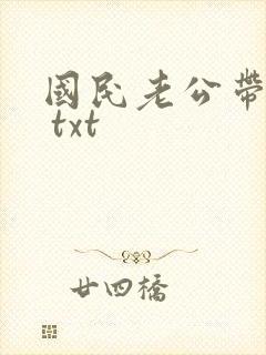 国民老公带回家 txt