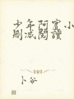 少年阿宾小说无删减阅读