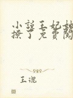 小说王妃她又被撩了免费阅读封面