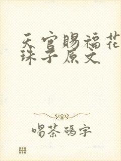 天官赐福花怜塞珠子原文封面