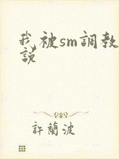 我被sm调教小说