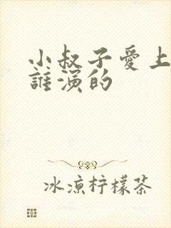 小叔子爱上嫂子谁演的封面