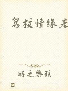驾校情缘老赵