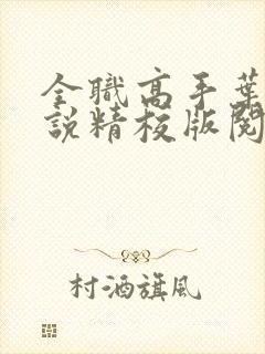 全职高手叶修小说精校版阅读