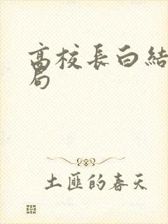 高校长白结大结局