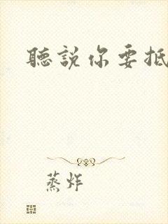 听说你要抵抗我封面