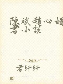 陈斌赵心媚高婉君小说封面