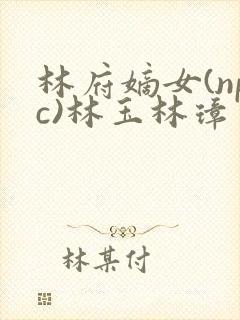 林府嫡女(npc)林玉林璋