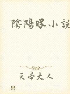 阴阳眼小说