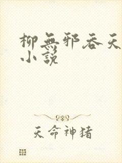 柳无邪吞天神鼎小说
