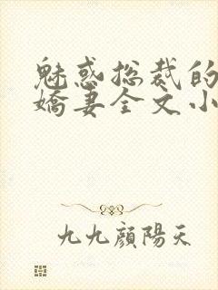 魅惑总裁的私有娇妻全文小说阅读全文封面