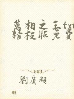 万相之王txt精校版免费阅读