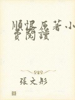 顺恨原著小说免费阅读