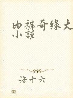 内裤奇缘大团结小说