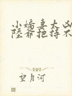 小娇妻太凶了,陆爷把持不住了封面