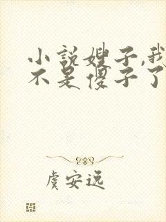 小说嫂子,我真不是傻子了免费阅读